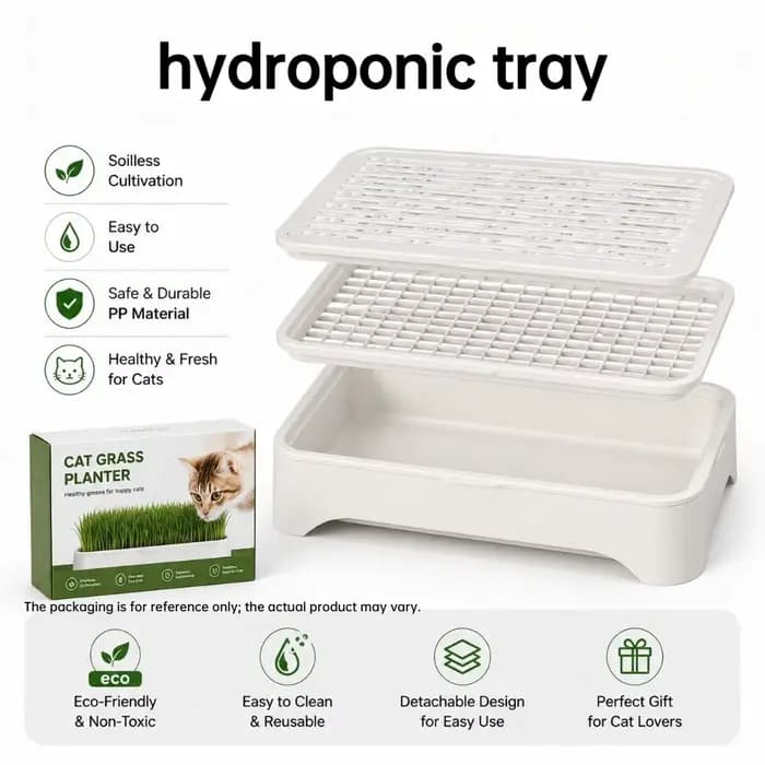 Pot hydroponique pour la culture de l'herbe à chatons