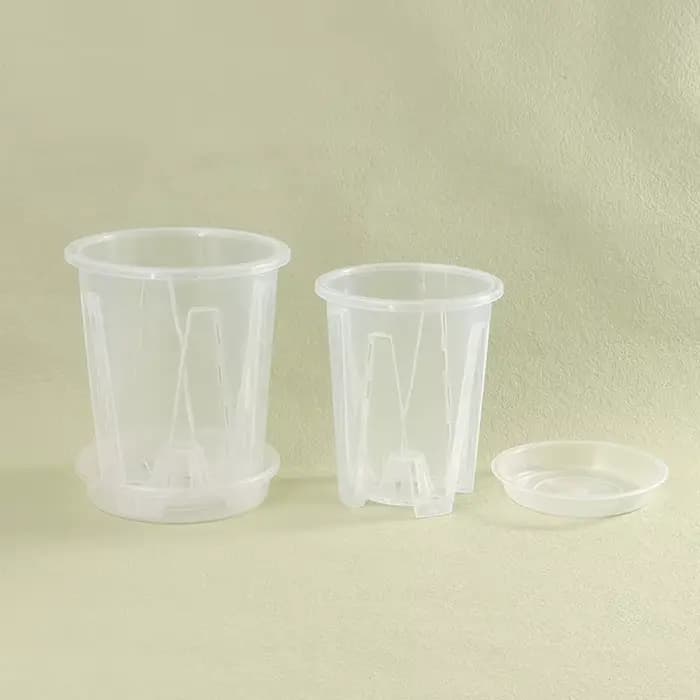 Pot de Fleur Transparent avec Escalade pour Plantation d'Orchidées Phalaenopsis