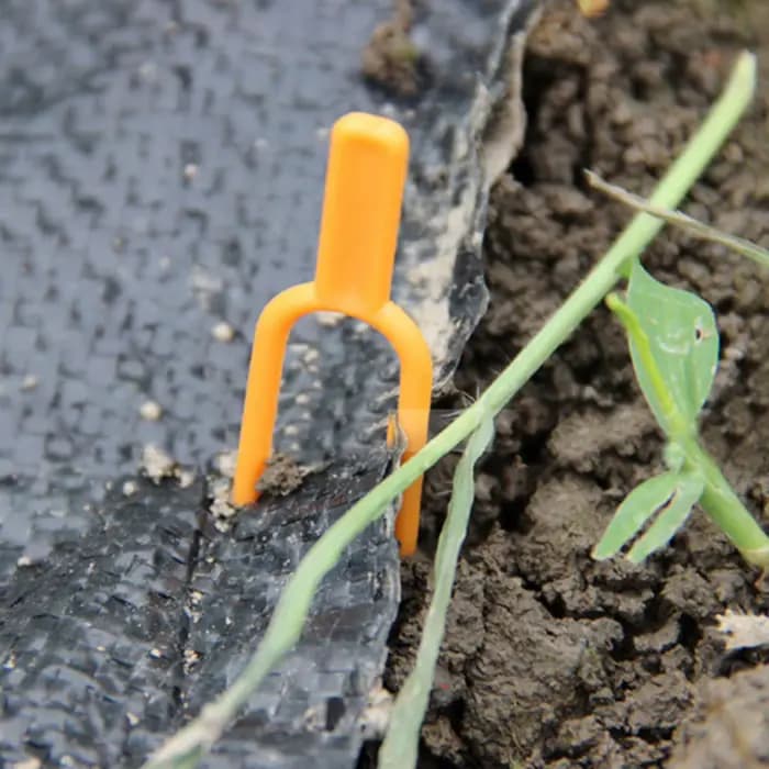 50 Pièces de Pinces de Fixation en Plastique pour Plantes de Jardinage, Agricoles, Fleurs, Melons et