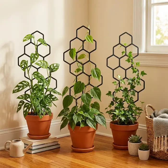 2 treillis pour plantes en forme de nid d'abeille, support en plastique antirouille pour plantes en