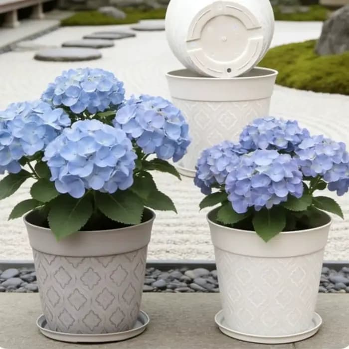 Pot de fleurs en plastique de 8 pouces avec trous de drainage et soucoupe