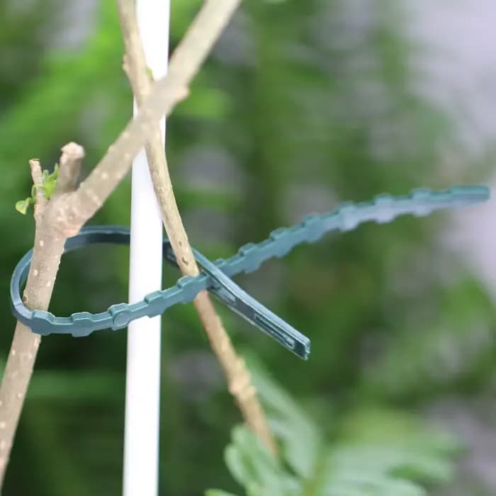 Attaches de câble réglables en plastique pour plantes, 11/13/17/23cm, fixation d'arbustes réutilisab