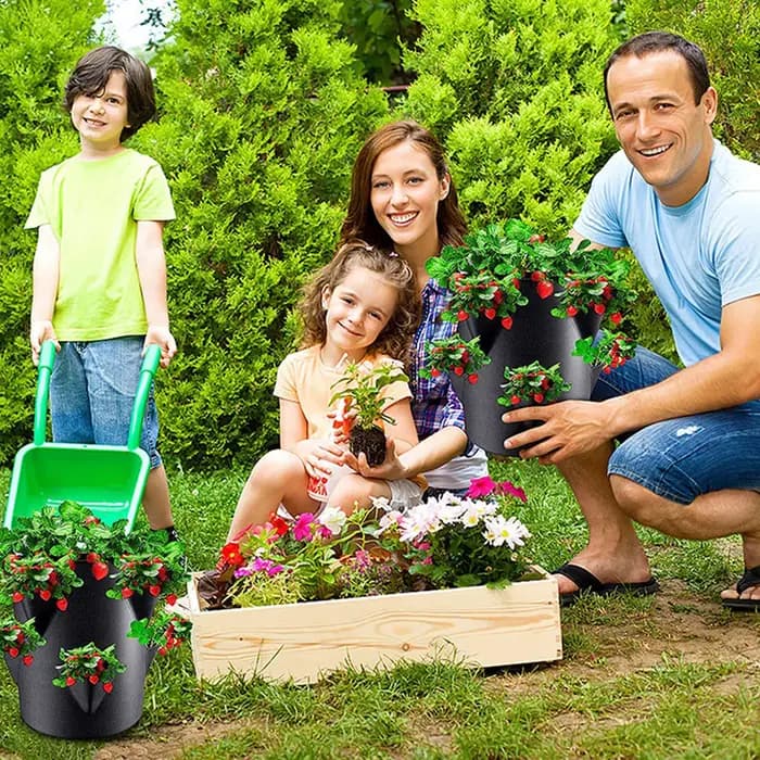 Pots et jardinières à fraises avec 6 poches latérales
