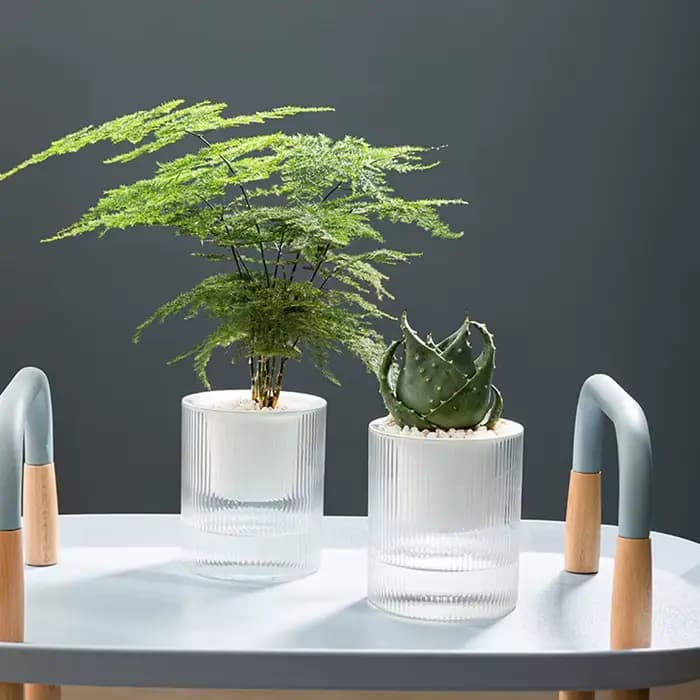 Pot de fleurs auto-arrosage pour plantes hydroponiques succulentes d'intérieur, Mini Pots de jardini