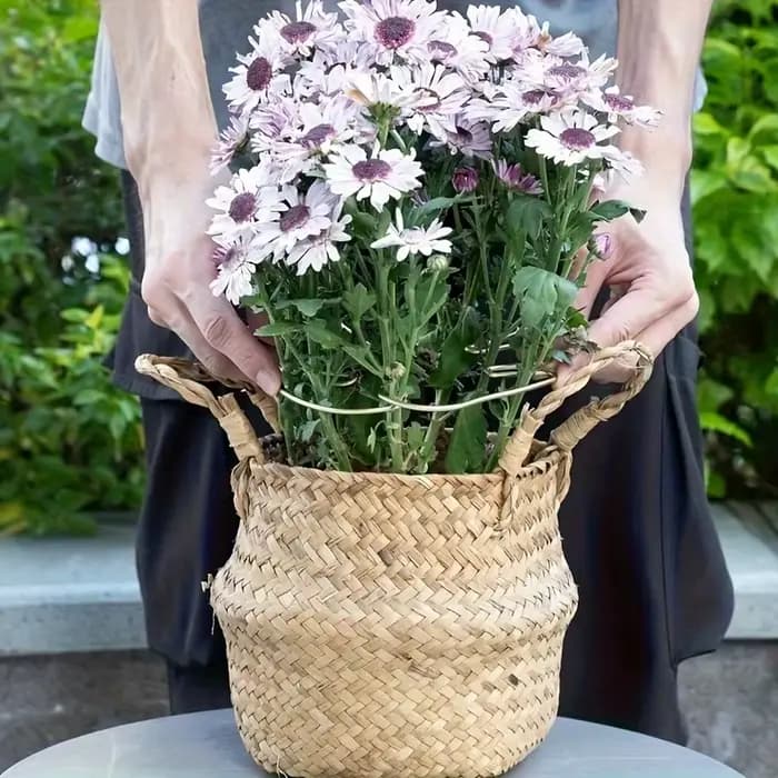 Grand support pour plantes suspendues, crochets en fer, adapté à la décoration de pots de fleurs, à