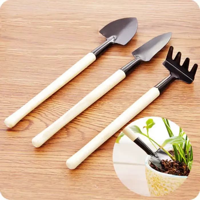 Outil de bonsaï en Pot pour plantes, Kit de jardinage, pelle, Pot de fleur, Mini râteau à pelle, man
