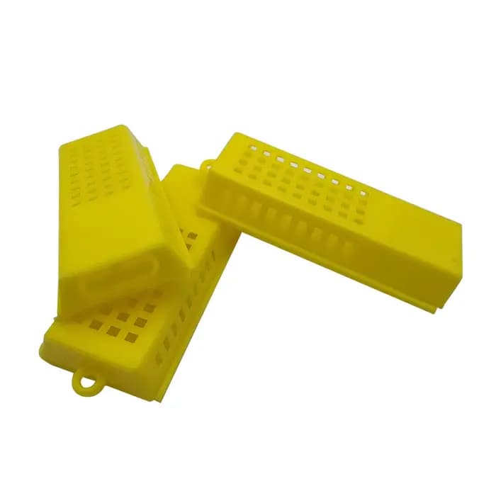Grille de Transport pour apiculture, Cage en plastique, roi prisonnier, reine des abeilles, collecte