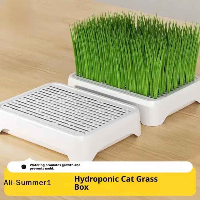 【E】Pot de culture hydroponique pour herbe à chat, culture sans terre, pot de semis de blé, dispositi