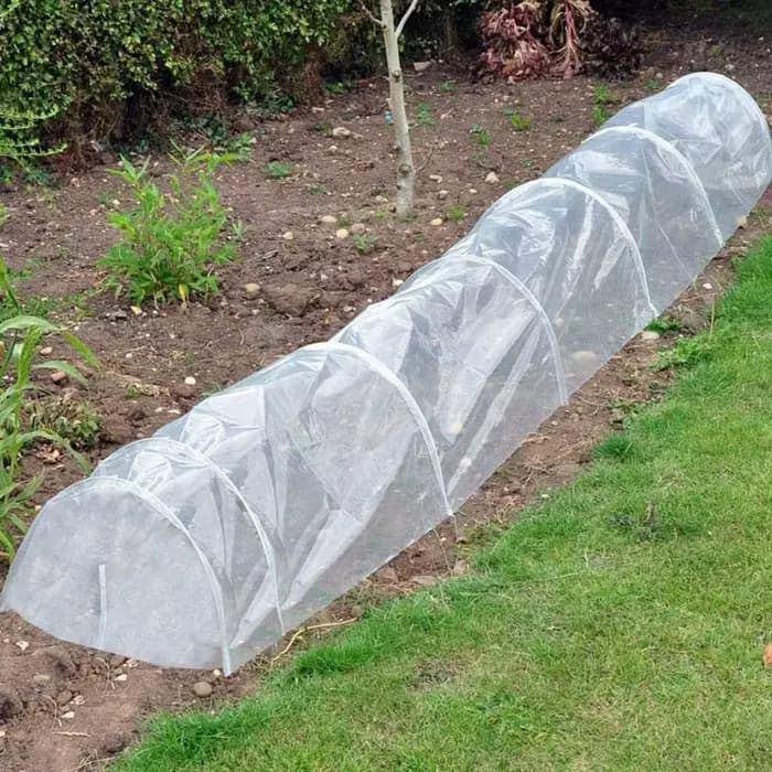 Feuille de plastique polyéthylène transparent 4/6/10M, couverture de culture agricole pour serre végétale, Film de protection Anti-UV pour jardin