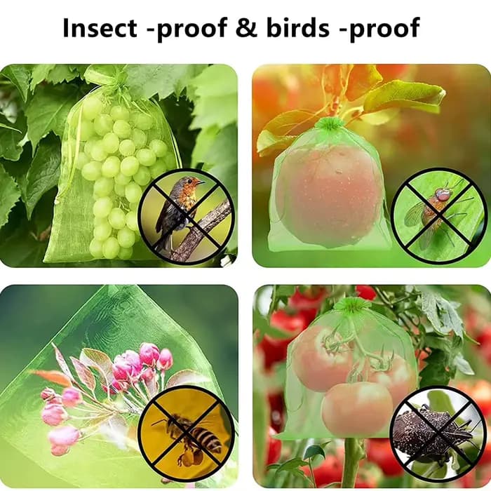 Sacs de Protection des raisins avec cordon de serrage, 100/50/20 pièces, sac en maille de Protection
