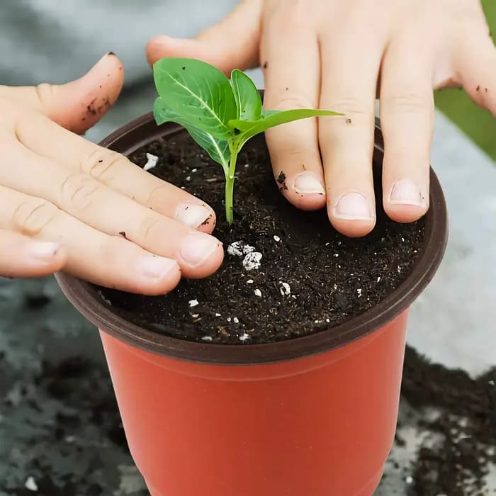 Pots de pépinière en plastique Flexible, 20-100x4 pouces, tasse de semis, conteneur de jardinage, pe