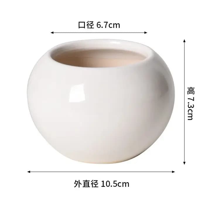 Petit pot rond en céramique pour plantes succulentes