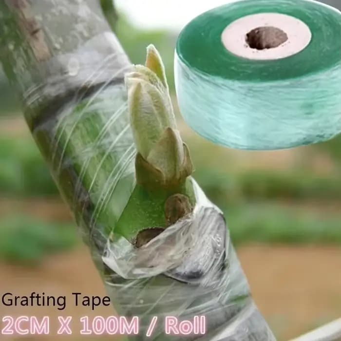 Ruban de greffage auto-adhésif en PE, film extensible pour arbres de jardin, plantes, semis, vignes,