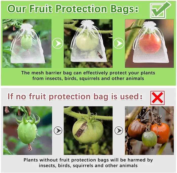 100 sacs de protection pour raisins, sacs en filet de jardinage, sacs agricoles pour la lutte antipa