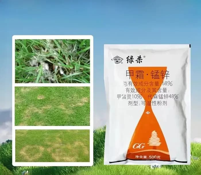 Bayer Aliette WG Fongicide Préventif et Curatif 500 g