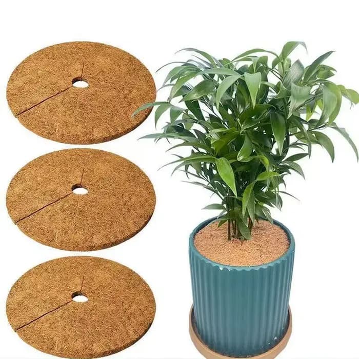 Lot de 3 disques de paillis protecteurs en fibres de coco naturelles pour plantes d'intérieur et d'e