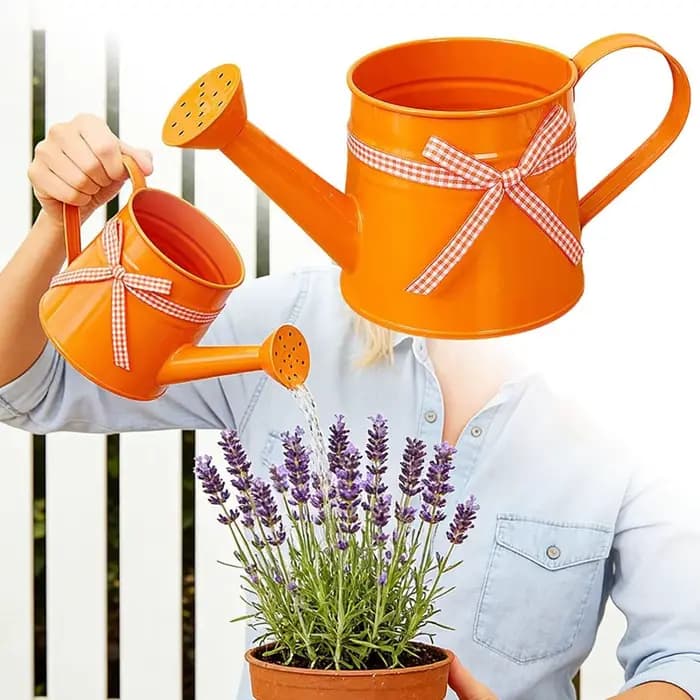 Petite Arrosoir 1L avec Tête de Pulvérisation et Ruban Gingham – Arrosoirs Modernes pour Plantes
