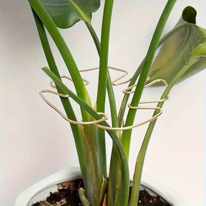 Grand support pour plantes suspendues, crochets en fer, adapté à la décoration de pots de fleurs, à