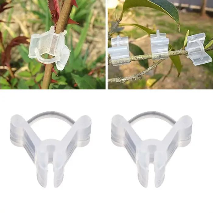 Pince de Greffe Transparente pour Légumes et Fruits, Accessoire de user inage pour Tomate, 50/100 Pi