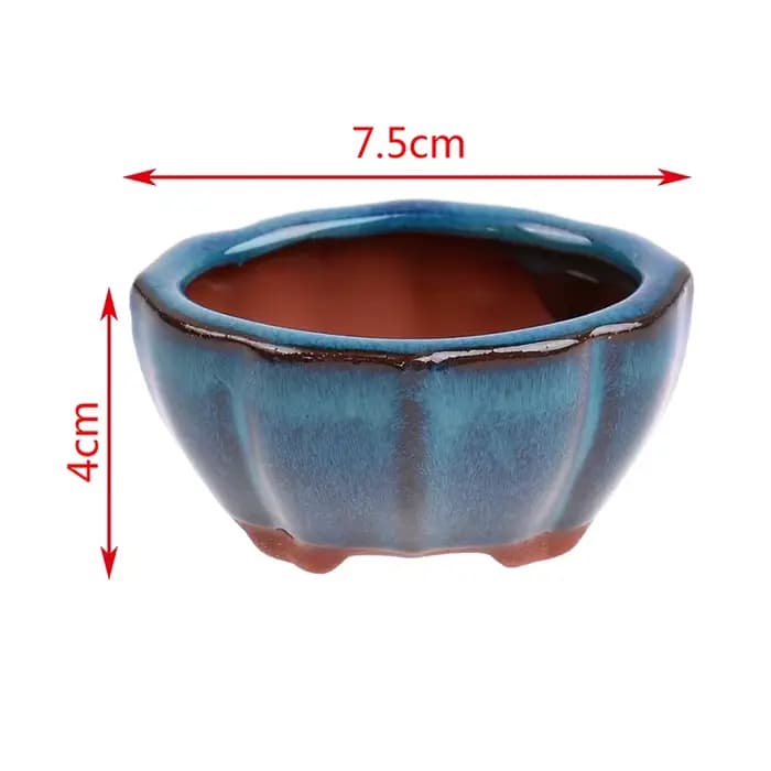 Pots à Bonsaï de Style Chinois en Grès Respirant