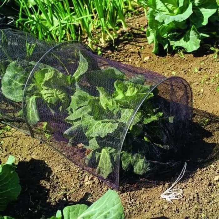 Couvercle en plastique pour Tunnel de plantation en maille agricole de 3 mètres (support non inclus)