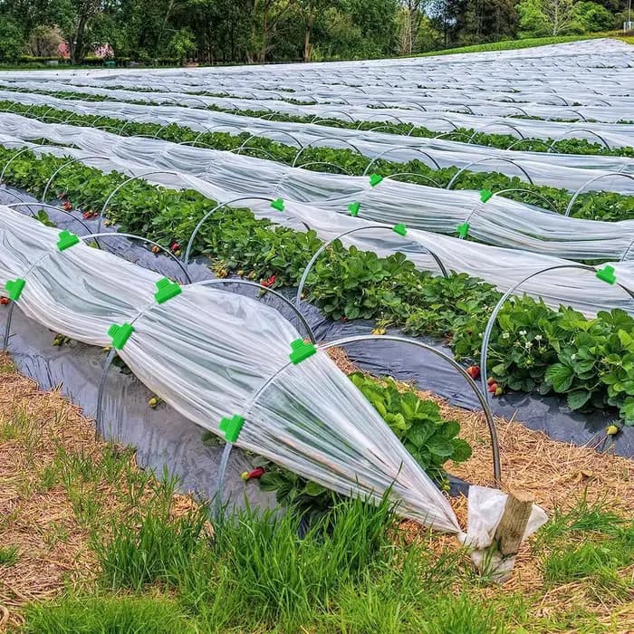 Pinces à Film pour serre, 20 pièces, pour hangar de jardin, rangée de couverture, filet, cerceau de
