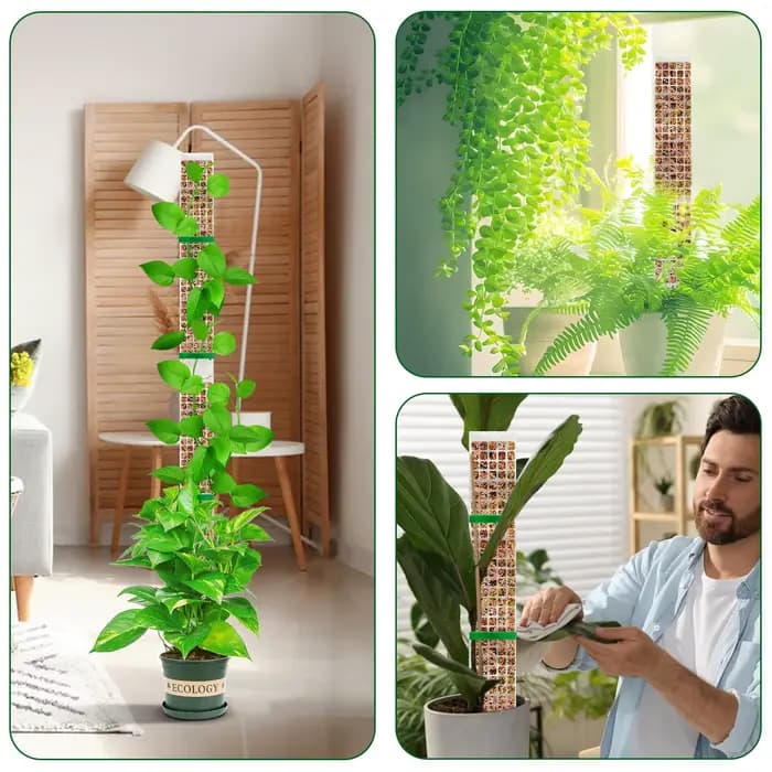 Plantes mousse pôle jardin sujet fleur plante grimpeurs bonsaï accessoires Pots Tutors, pour jardini