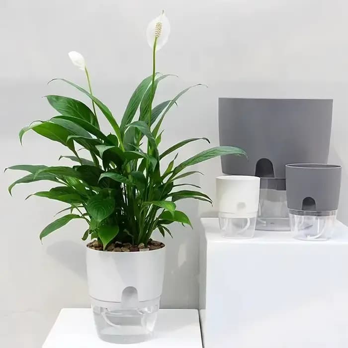 Pot de fleur en plastique Transparent Double couche