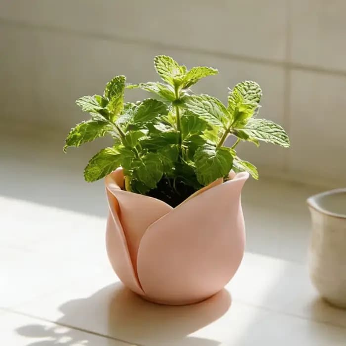 Décoration d'intérieur, pots en plastique en forme de mini-rose, pots à plantes succulentes uniques et mignons, pot de plante décoratif imprimé en 3D, bureau
