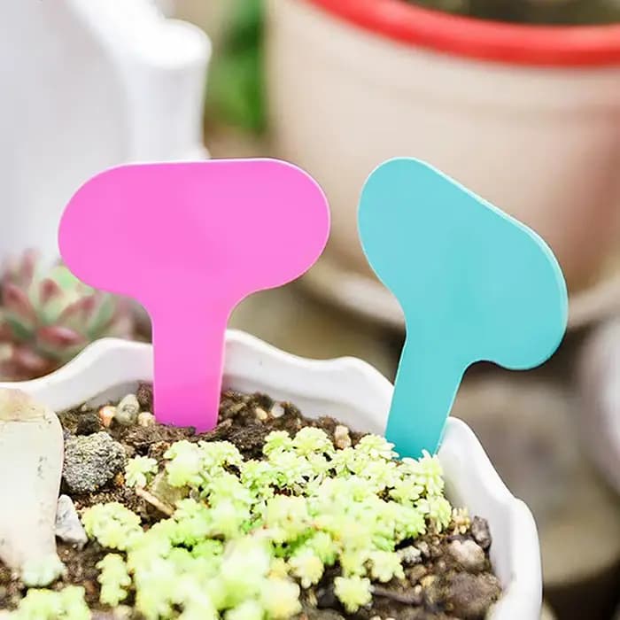 Étiquettes de jardin, 100 pièces, Classification des plantes, signe de tri, billet, plaque d'écritur