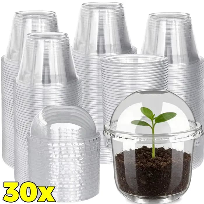 Pot de pépinière transparent avec couvercle respirant, pot de démarrage pour graines, conteneur pour