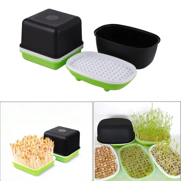 Boîte hydroponique pour germer des cacahuètes, graines, blé, graines, graines, graines, plateau pour