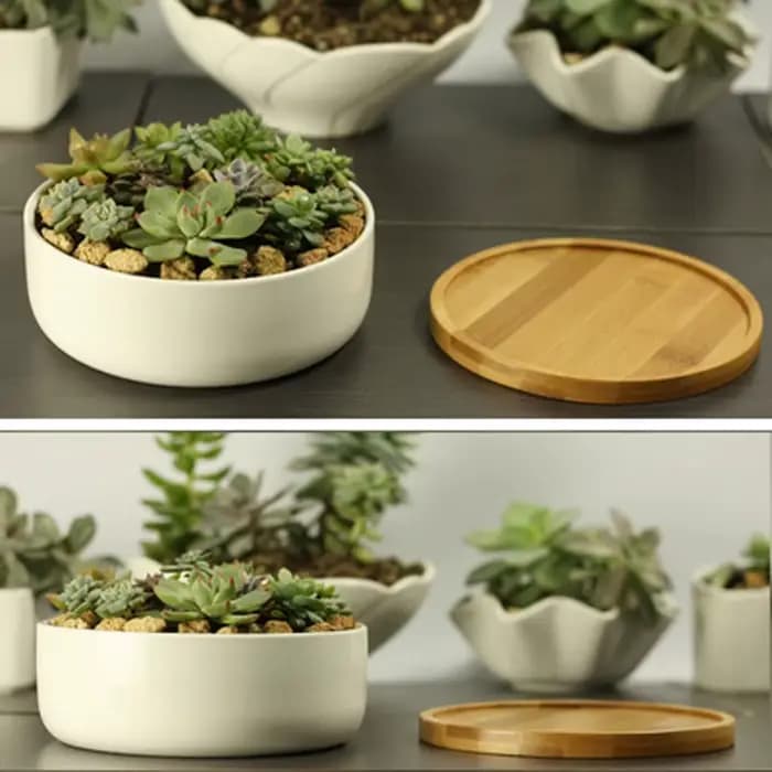 Pot de plante succulente en céramique, pot de fleur arrondi profond en porcelaine blanche avec escal