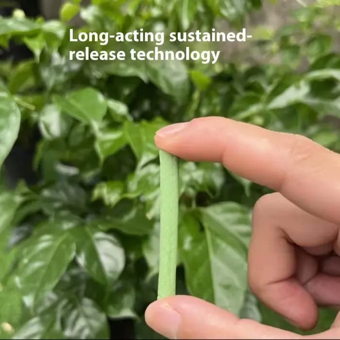 Bâtonnets d'engrais universels pour plantes en pot d'intérieur