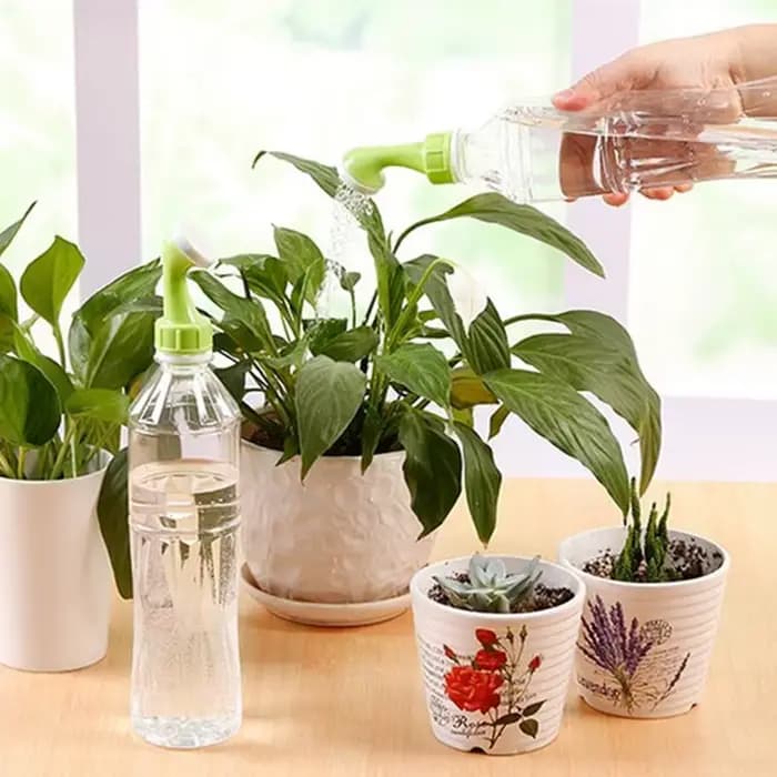 Mini bouilloire d'arrosage en plastique, 2/5/10 pièces, produits de soins pour l'horticole et les fl