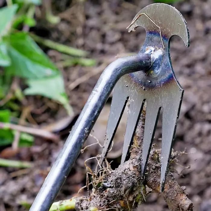 Désherbeur manuel multifonctionnel à 4 dents pour jardin - Outil de désherbage durable et portable pour le jardinage et la culture des légumes