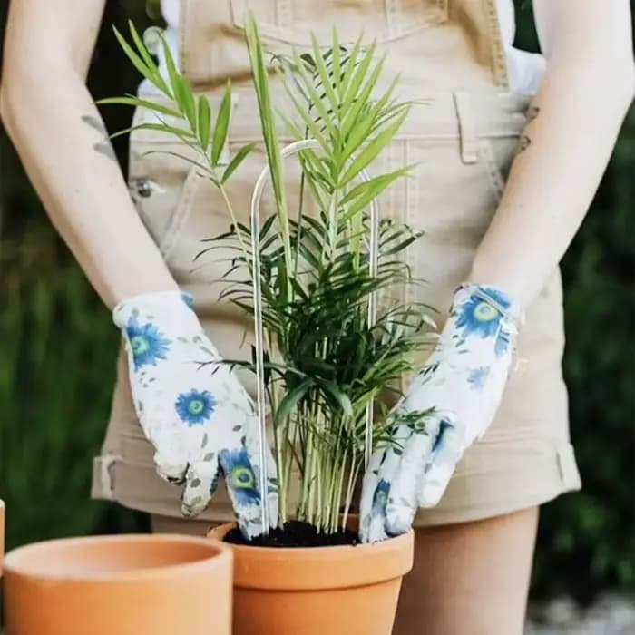Support pour plantes en acrylique en forme de U, 2 pièces, cadre d'escalade élégant pour plantes, su
