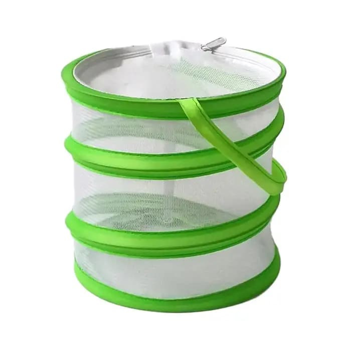 Cage à insectes pliable pour l'observation des chenilles et des papillons
