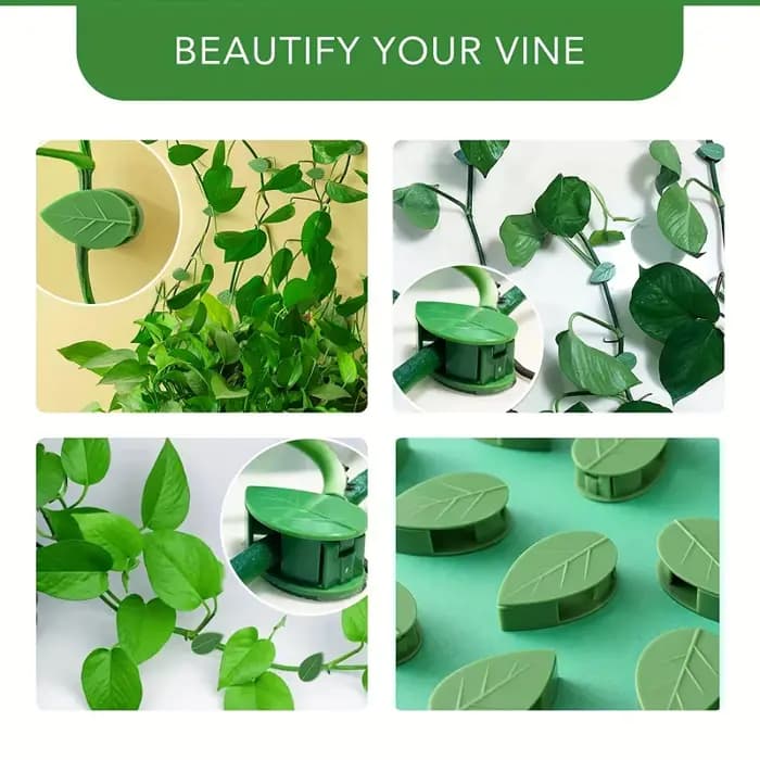 Clips de Fixation Murale Grimpante pour Plantes, Crochet Auto-Adhésif pour Plantes, Fiosphréinitiali