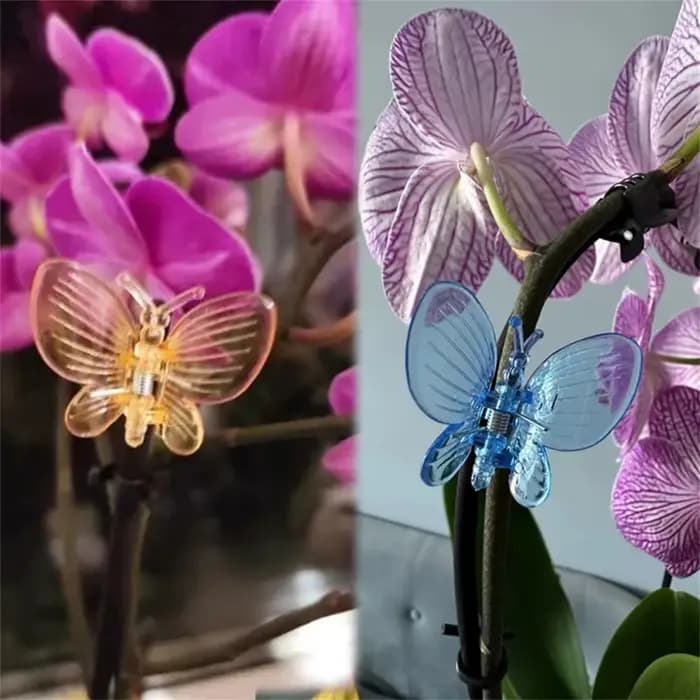 Pinces à orchidées colorées, 30 pièces, pinces papillon pour plantes de jardin, vigne grimpante, Sup