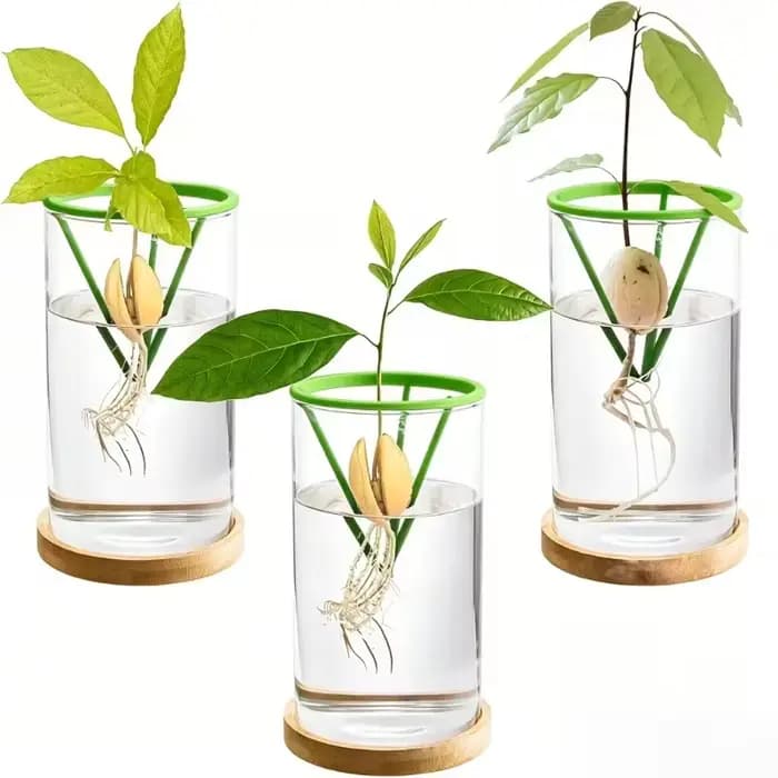 2 pots de support pour graines hydroponiques – Contenants coniques verts