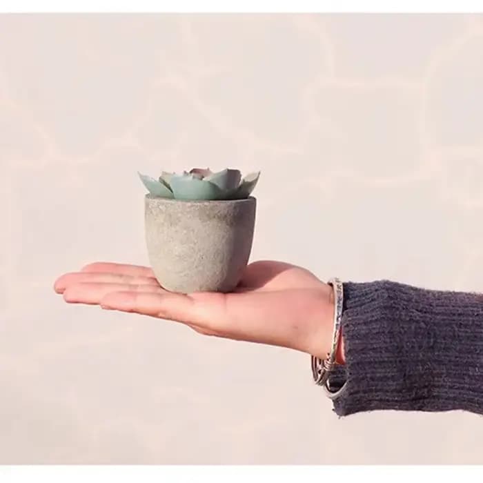 Mini plantes artificielles à l'aloe vera, bonsaï, petit arbre simulé, fausses fleurs, ornements de Table de bureau, décoration de jardin de maison