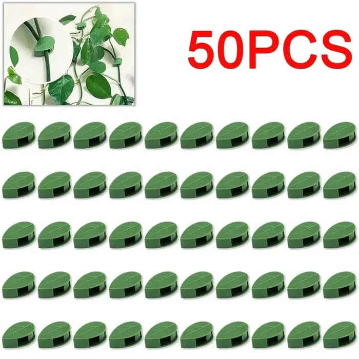 Clips de fixation muraux invisibles pour plantes grimpantes