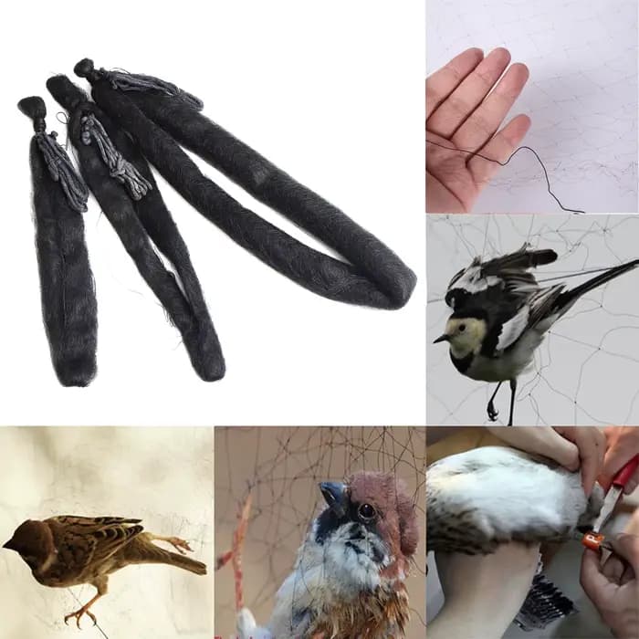 Filet en nylon anti-oiseaux pour vergers et aéroports, piège à oiseaux, cultures, arbres fruitiers,