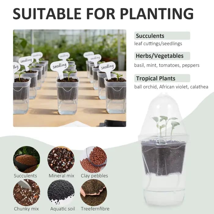 Pot de fleurs auto-arrosant en plastique transparent de 7 pouces