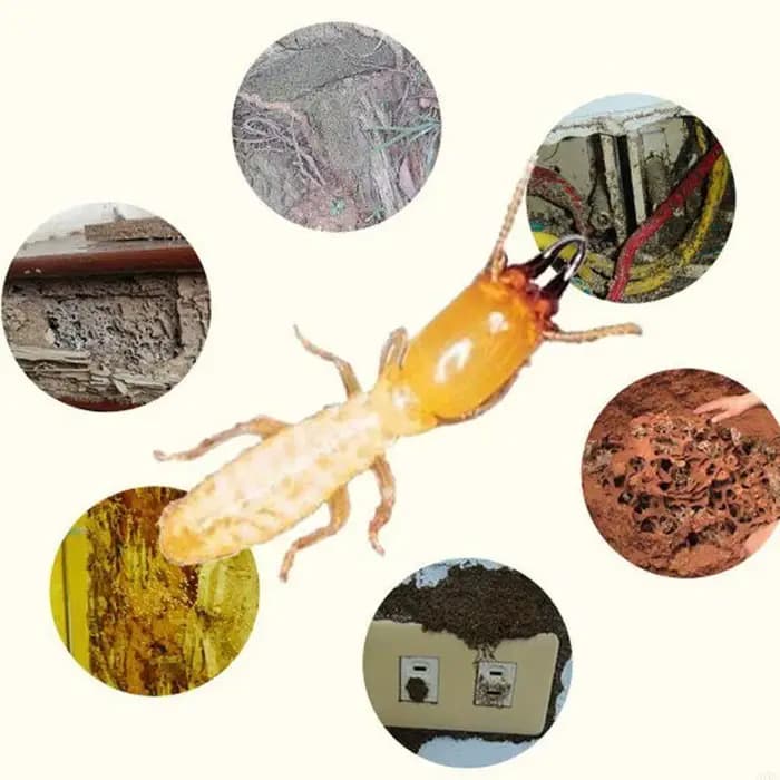 Termite Bait Box Killer Trapper White