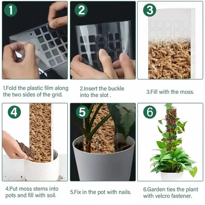 Poteaux de mousse plantes Support de plantes en plastique Transparent réutilisable intérieur bâtons