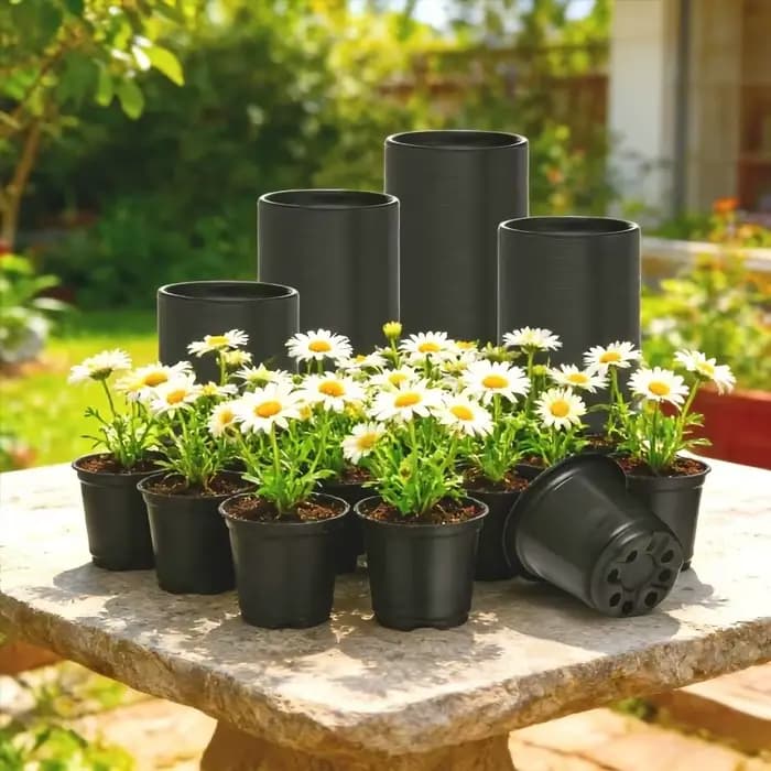 50/100 pots à semis noirs