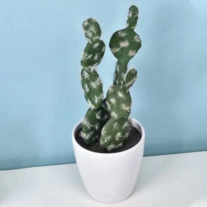 Cactus artificiel en pot plante verte Simulation succulente en pot fausses plantes
