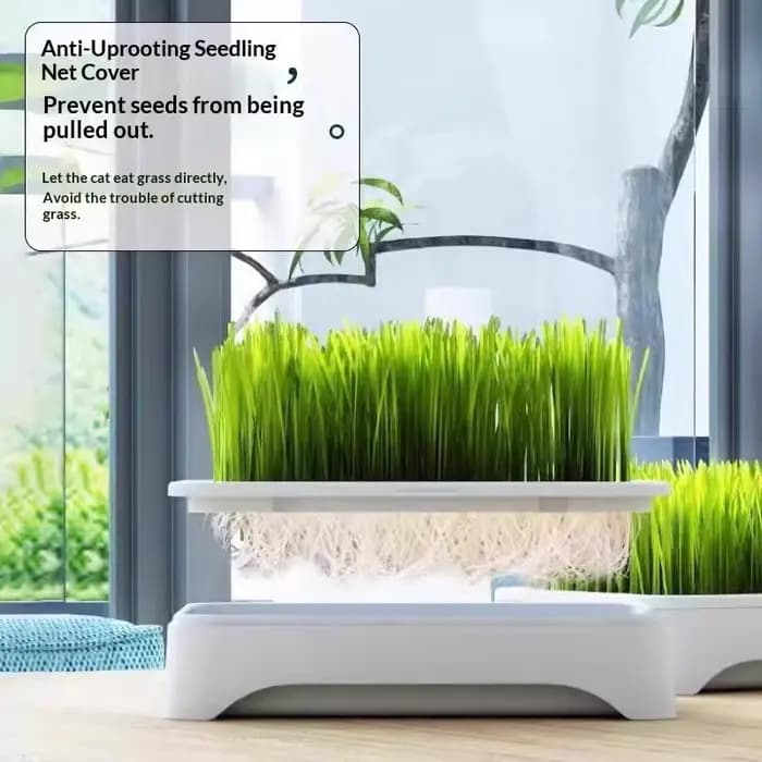 Pot de culture hydroponique pour herbe à chat